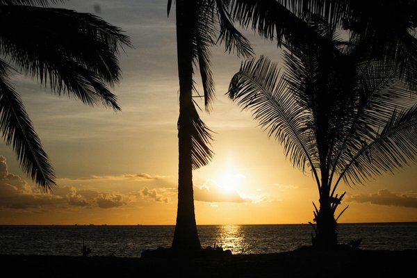 Où trouver une location de vacances en Nouvelle-Zélande avec des tours en hélicoptère des glaciers?