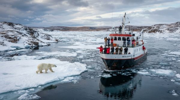 Comment organiser une croisière d'observation des ours polaires dans la baie d'Hudson, Canada : itinéraires et préparatifs ?