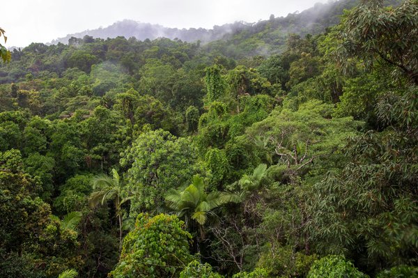 Quels sont les meilleurs itinéraires pour une randonnée en forêt tropicale du Costa Rica?